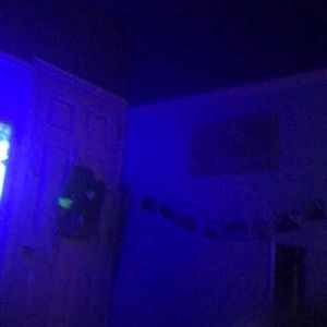 Meet your Posher, Ellie